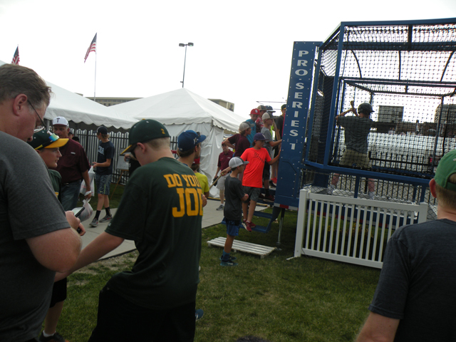 Baseball or softball batting cage